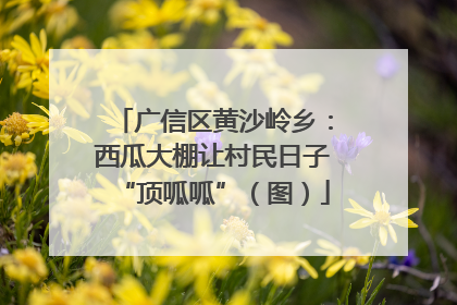 广信区黄沙岭乡：西瓜大棚让村民日子“顶呱呱”（图）