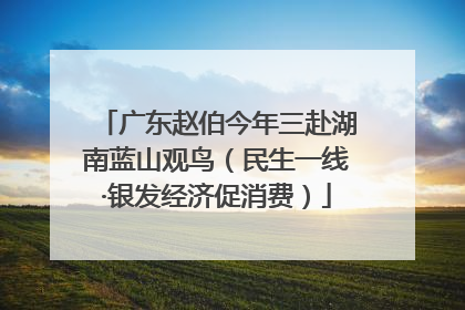 广东赵伯今年三赴湖南蓝山观鸟（民生一线·银发经济促消费）