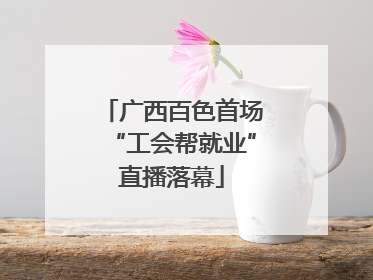 广西百色首场“工会帮就业”直播落幕