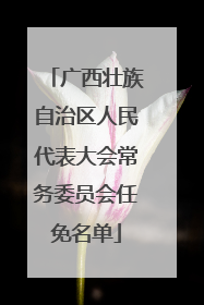 广西壮族自治区人民代表大会常务委员会任免名单