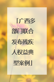 广西多部门联合发布残疾人权益典型案例