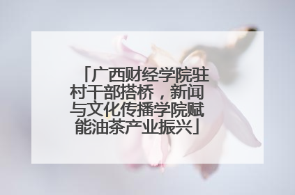 广西财经学院驻村干部搭桥，新闻与文化传播学院赋能油茶产业振兴