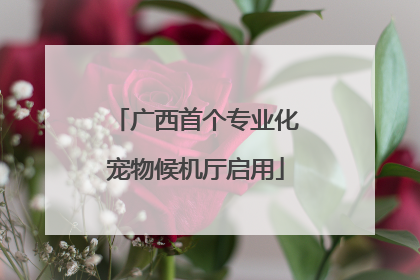 广西首个专业化宠物候机厅启用