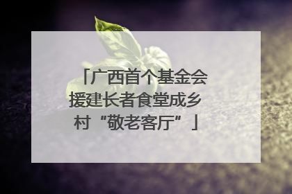 广西首个基金会援建长者食堂成乡村“敬老客厅”