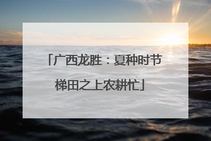 广西龙胜：夏种时节 梯田之上农耕忙