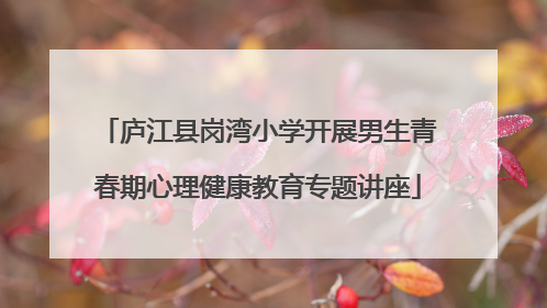 庐江县岗湾小学开展男生青春期心理健康教育专题讲座
