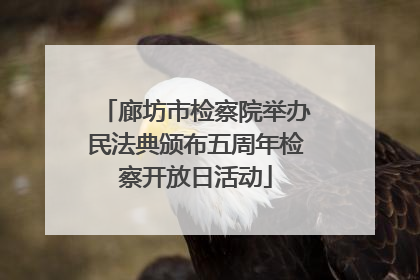 廊坊市检察院举办民法典颁布五周年检察开放日活动