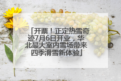 开票！正定热雪奇迹7月6日开业，华北最大室内雪场带来四季滑雪新体验