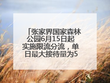 张家界国家森林公园6月15日起实施限流分流，单日最大接待量为5.3万人