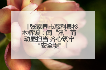 张家界市慈利县杉木桥镇：闻“汛”而动显担当 齐心筑牢“安全堤”