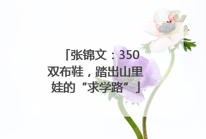 张锦文：350双布鞋，踏出山里娃的“求学路”