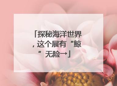 探秘海洋世界，这个展有“鲸”无险→