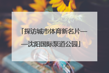 探访城市体育新名片——沈阳国际泵道公园