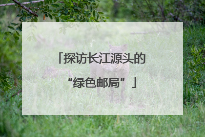 探访长江源头的“绿色邮局”