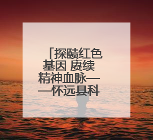 探赜红色基因 赓续精神血脉——怀远县科技馆全国科技工作者日系列活动走进怀远县实验中学