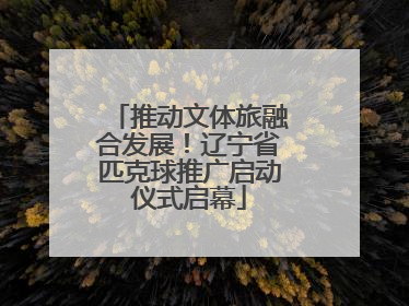 推动文体旅融合发展！辽宁省匹克球推广启动仪式启幕