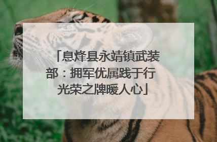 息烽县永靖镇武装部：拥军优属践于行 光荣之牌暖人心