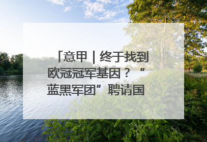 意甲｜终于找到欧冠冠军基因？“蓝黑军团”聘请国米名宿齐沃执教