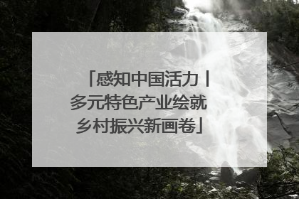 感知中国活力丨多元特色产业绘就乡村振兴新画卷