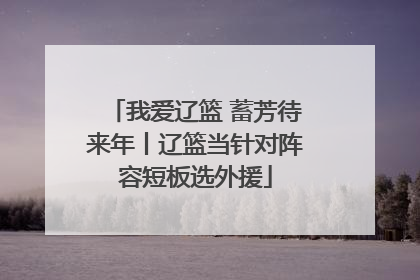 我爱辽篮 蓄芳待来年丨辽篮当针对阵容短板选外援