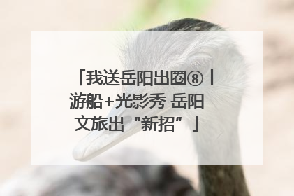 我送岳阳出圈⑧丨游船+光影秀 岳阳文旅出“新招”