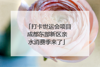 打卡世运会项目 成都东部新区亲水消费季来了