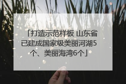 打造示范样板 山东省已建成国家级美丽河湖5个、美丽海湾6个