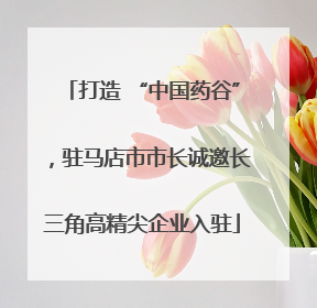 打造 “中国药谷”，驻马店市市长诚邀长三角高精尖企业入驻