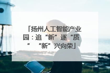 扬州人工智能产业园：追“新”逐“质” “新”兴向荣