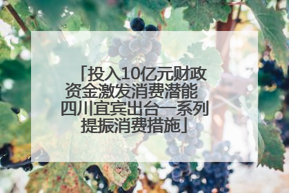 投入10亿元财政资金激发消费潜能 四川宜宾出台一系列提振消费措施