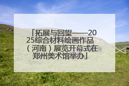 拓展与回望——2025综合材料绘画作品（河南）展览开幕式在郑州美术馆举办