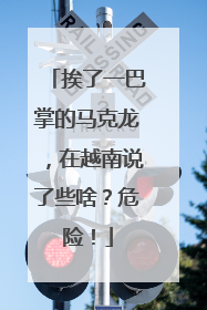 挨了一巴掌的马克龙，在越南说了些啥？危险！