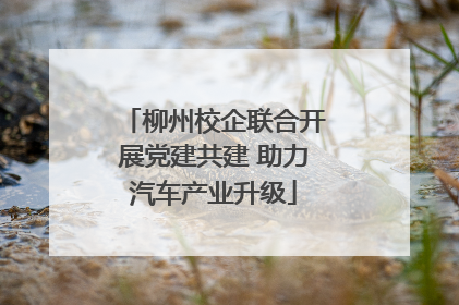 柳州校企联合开展党建共建 助力汽车产业升级