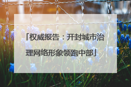 权威报告：开封城市治理网络形象领跑中部