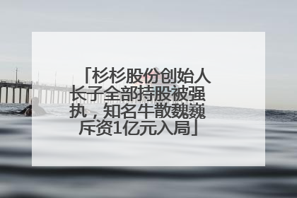 杉杉股份创始人长子全部持股被强执，知名牛散魏巍斥资1亿元入局