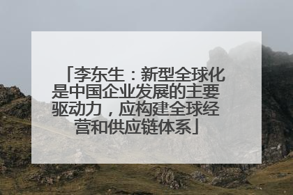 李东生：新型全球化是中国企业发展的主要驱动力，应构建全球经营和供应链体系