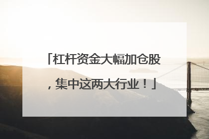 杠杆资金大幅加仓股，集中这两大行业！