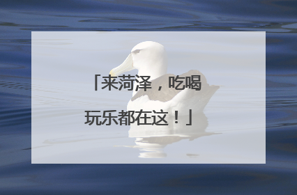 来菏泽，吃喝玩乐都在这！