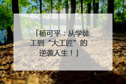 杨可平：从学徒工到“大工匠”的逆袭人生！