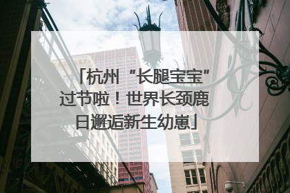 杭州“长腿宝宝”过节啦！世界长颈鹿日邂逅新生幼崽
