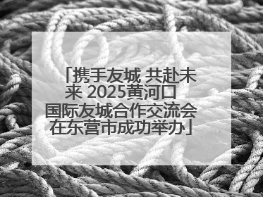 携手友城 共赴未来 2025黄河口国际友城合作交流会在东营市成功举办