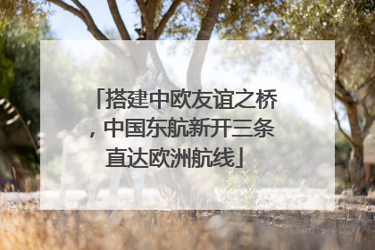 搭建中欧友谊之桥，中国东航新开三条直达欧洲航线