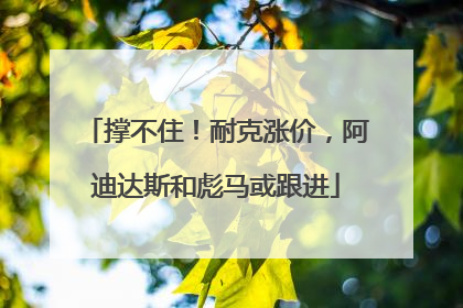 撑不住！耐克涨价，阿迪达斯和彪马或跟进