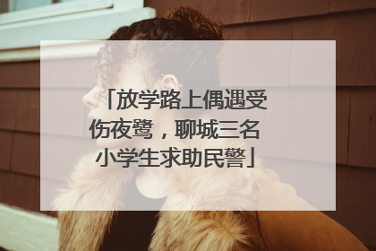 放学路上偶遇受伤夜鹭，聊城三名小学生求助民警