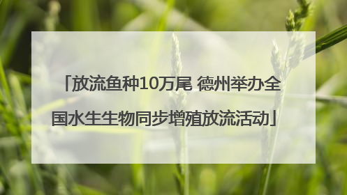 放流鱼种10万尾 德州举办全国水生生物同步增殖放流活动
