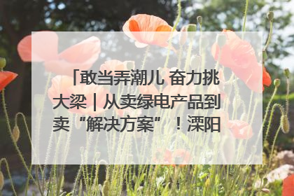 敢当弄潮儿 奋力挑大梁｜从卖绿电产品到卖“解决方案”！溧阳立足产业优势建成五大微电网示范项目