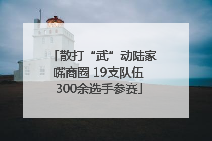 散打“武”动陆家嘴商圈 19支队伍300余选手参赛