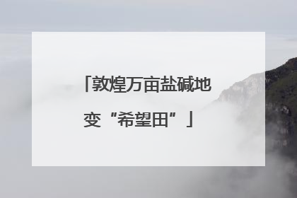 敦煌万亩盐碱地变“希望田”