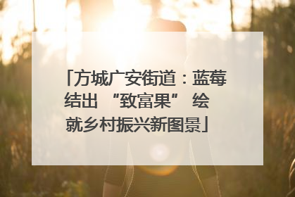 方城广安街道：蓝莓结出 “致富果” 绘就乡村振兴新图景
