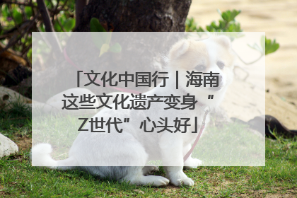 文化中国行｜海南这些文化遗产变身“Z世代”心头好